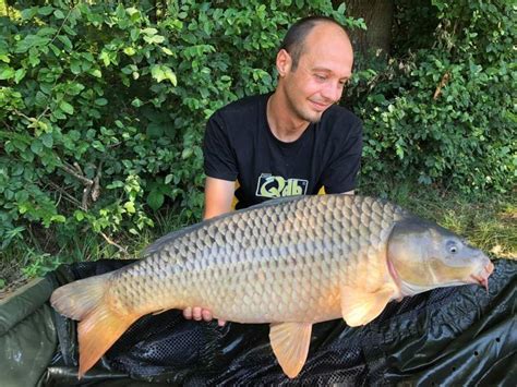 jav carp|JURA.